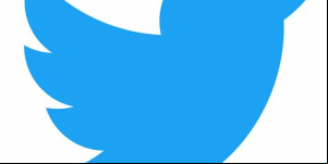 Cómo buscar en Twitter