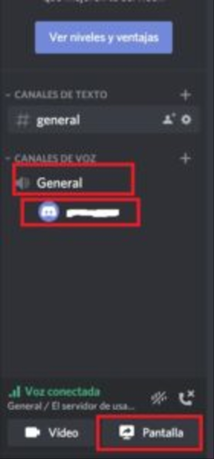 Cómo compartir pantalla en Discord - Compartir pantalla en Discord desde PC